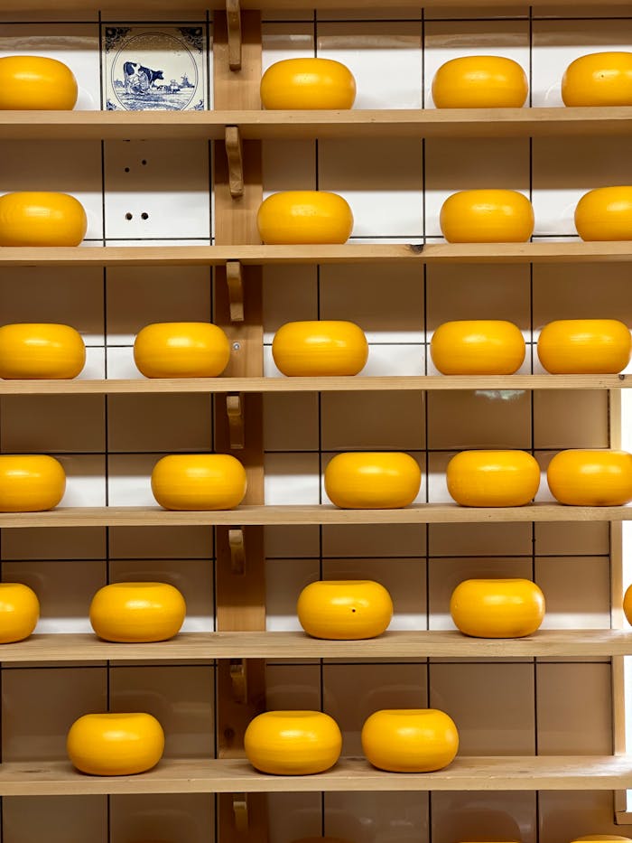 get-in-touch Bright yellow cheese wheels on wooden shelves in a traditional Dutch setting.
